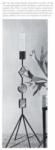 Rosenthal 1960 5.jpg
